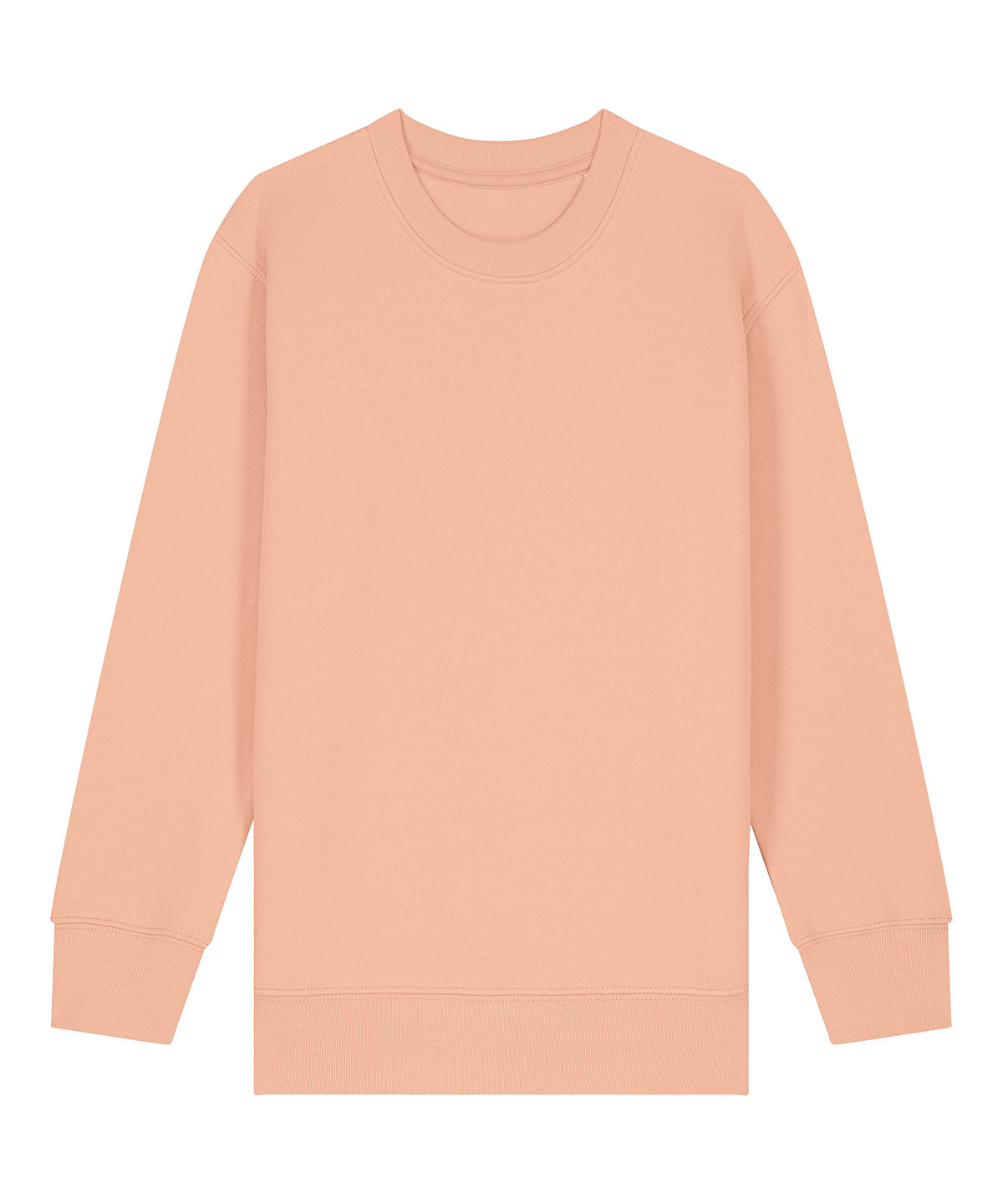 Kids Mini Changer 2.0 Iconic Crew Neck Sweatshirt (STSK181) - SX704
