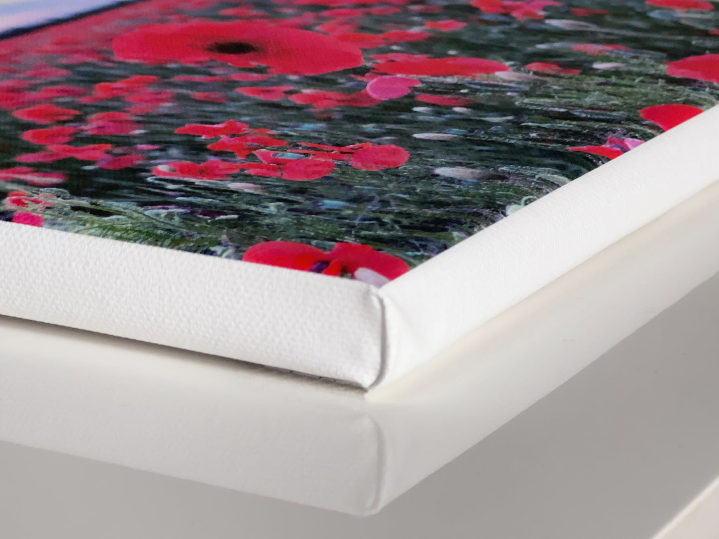 Panoramic Canvas Prints